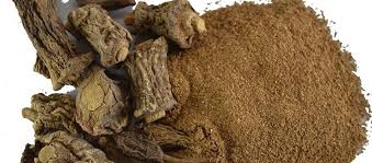 60 Gélules de Costus Indien (Cure de 1 mois)