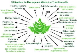 60 Gélules de Moringa Bio (Cure de 1 mois)