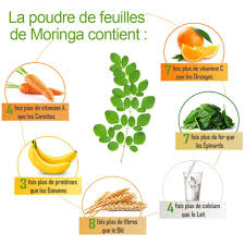 60 Gélules de Moringa Bio (Cure de 1 mois)