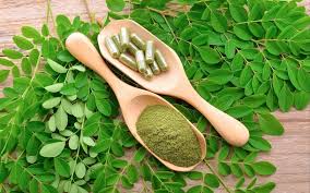60 Gélules de Moringa Bio (Cure de 1 mois)
